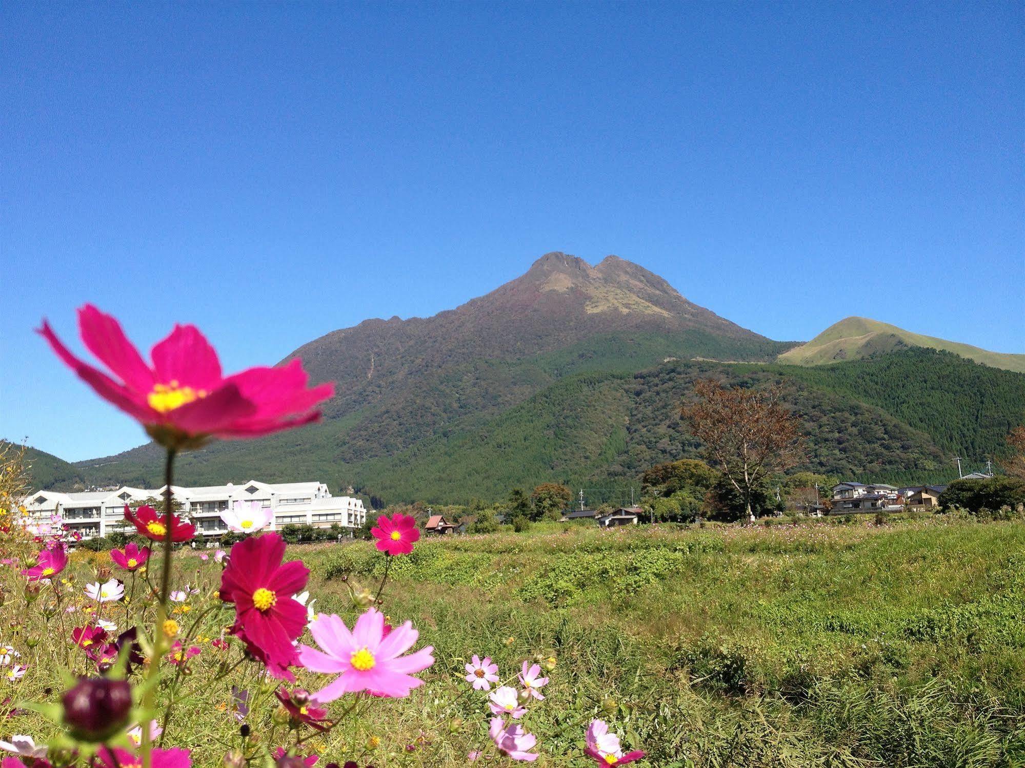 湯布院カントリーロードユースホステル 由布市 エクステリア 写真